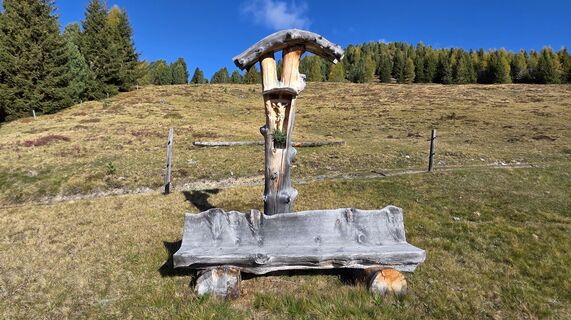Foto de Helmuth Ammerer a lo largo del recorrido