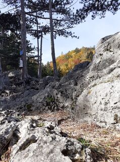 Photo de Robert Scheiber le long du parcours
