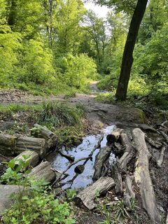 Foto von Lili Bártfai entlang der Tour