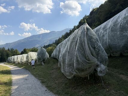 Foto von Stefano Arosio entlang der Tour