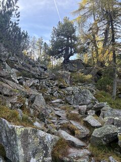 Fotografija s spletne strani Stefka Köfler na poti