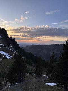 Fotografia z David Shorts na trase