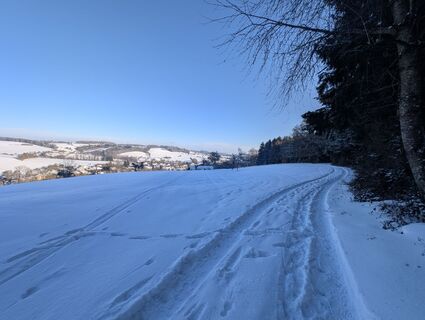 Photo de Stefan Bock le long du parcours