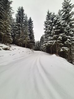 Foto von Arnulf Müller entlang der Tour