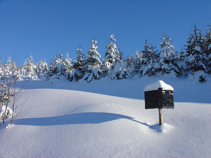 Winterwald in Oberharmersbach
