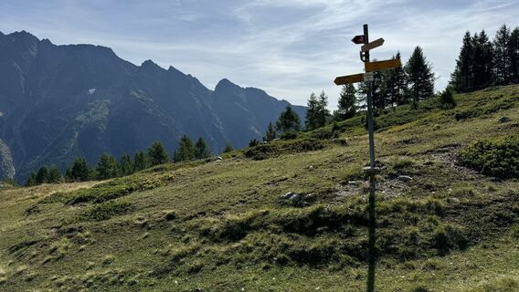Fotografija s spletne strani peter_oe na poti