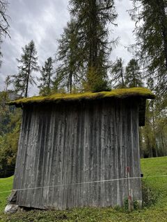 Foto von Mwohlgeschaffen entlang der Tour
