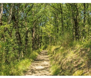 Der Devèzes-Rundweg