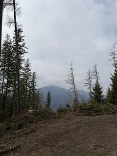 Fotografia z Mandy Friedrich na trase