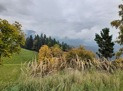 Foto de Wolfgang Schmied a lo largo del recorrido