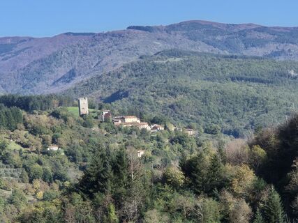 Foto de Thomi W a lo largo del recorrido