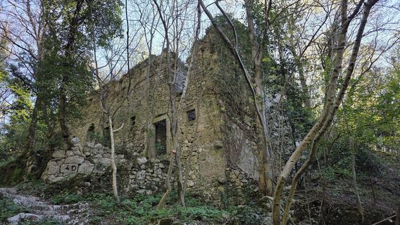 Fotografie z euterpe42 na trase