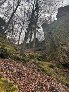 Photo de Elke Unland le long du parcours
