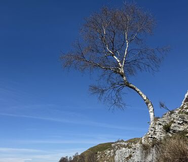 Zdjęcie z “Jerry” Brunetti wzdłuż trasy