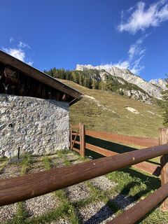 Foto från Sven Krieblin under resans gång