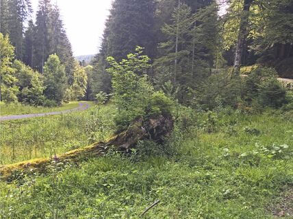 Radweg