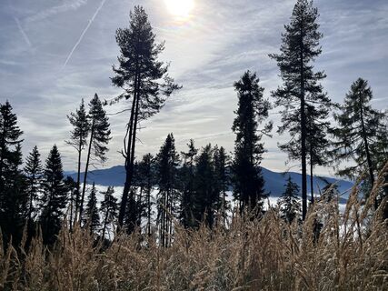 Foto fra Andrea Jamer underveis på turen
