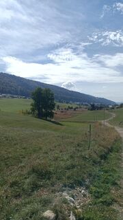 Photo de bidure70 Mitche le long du parcours