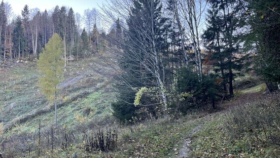 Photo de Sabine Offenberger le long du parcours