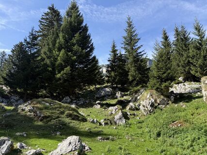 Foto von Gabor Reznicsek entlang der Tour