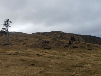 Foto von Ronald Hanser entlang der Tour