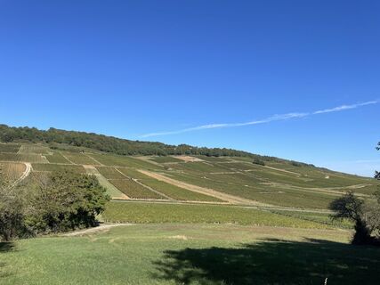 DJI_20220921_110947_270