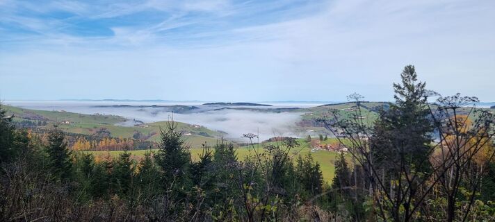 Fotografie z Manuela Huemer Frisco na trase