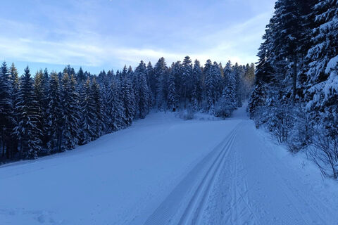Schwarzenbachloipe nahe der Kalten Küche