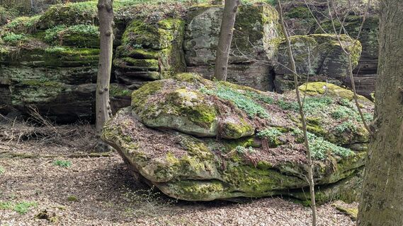 Photo de hochlandfamilie le long du parcours