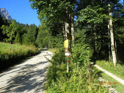 Forststraße Mühlbachtal