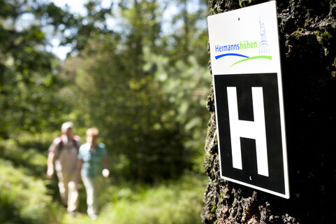 Auf dem Hermannsweg