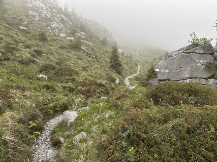 Fotografie z Carsten Breitfeld na trase