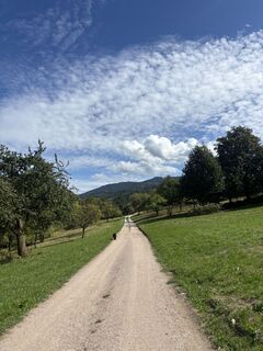 Fotografia z mo na trase