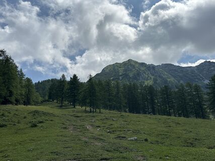 Foto von Natur_erleben_dg entlang der Tour