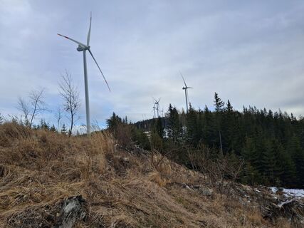 Foto von maria_hochschwab entlang der Tour