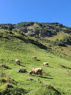 Fotografia z Greg+Lisa na trase