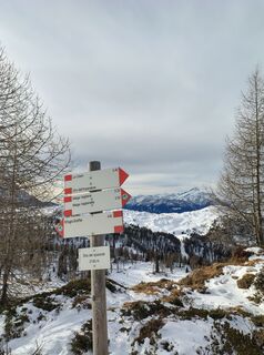 Foto von corrado entlang der Tour