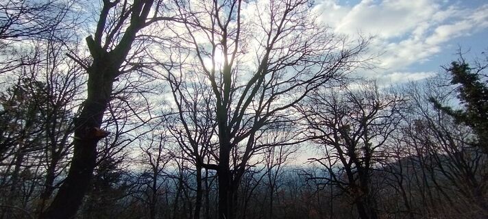 Foto von Christine Fischer entlang der Tour