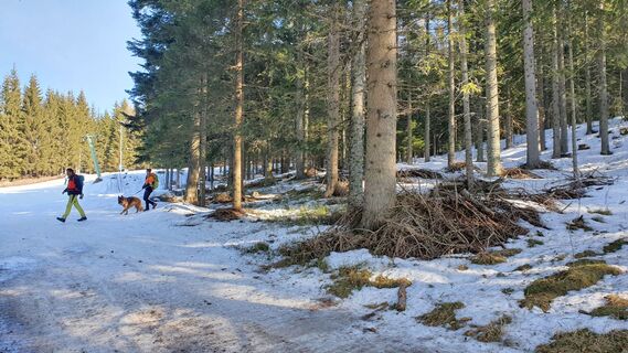 0.4 km Rechts in den Waldpfad