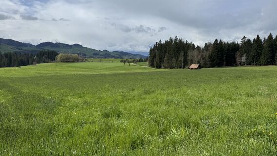 Foto von peter_oe entlang der Tour
