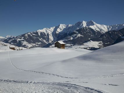 Davos Munts dado