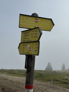 Foto de Lipa a lo largo del recorrido