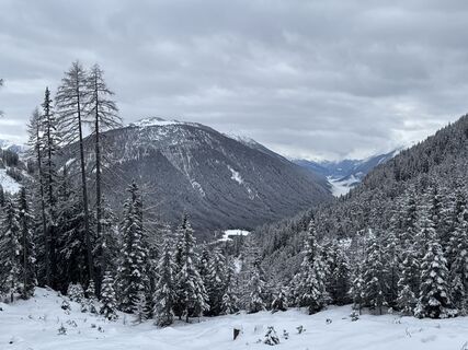 Photo de Grizzli le long du parcours