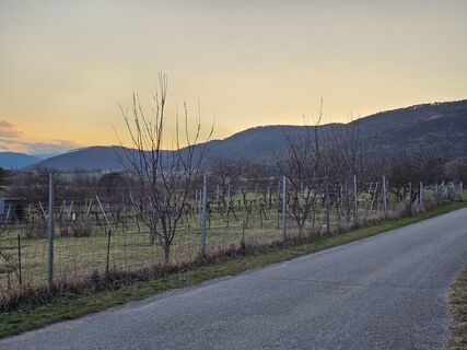 Foto von Matheo Kraule entlang der Tour