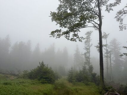 Fotografie z Natur_erleben_dg na trase