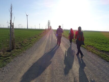 Wandergruppe am Jakobsweg 