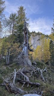 Fotografija s spletne strani ROBERTO BONIOTTI na poti