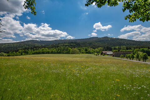 27.05.2020 Bei den Einödhöfen - © Peter Neunteufel / Woidlife Photography