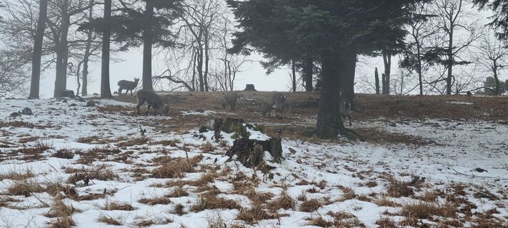 Photo de Mario Libardi le long du parcours