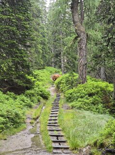 Foto von Martina Gerneck entlang der Tour